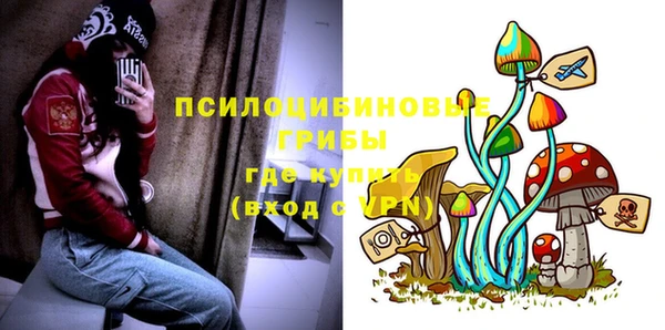 бошки Саяногорск