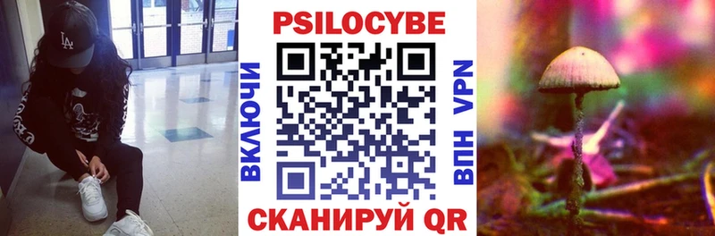 Псилоцибиновые грибы мицелий  Купить  Ильский 